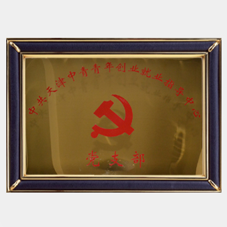 党支部